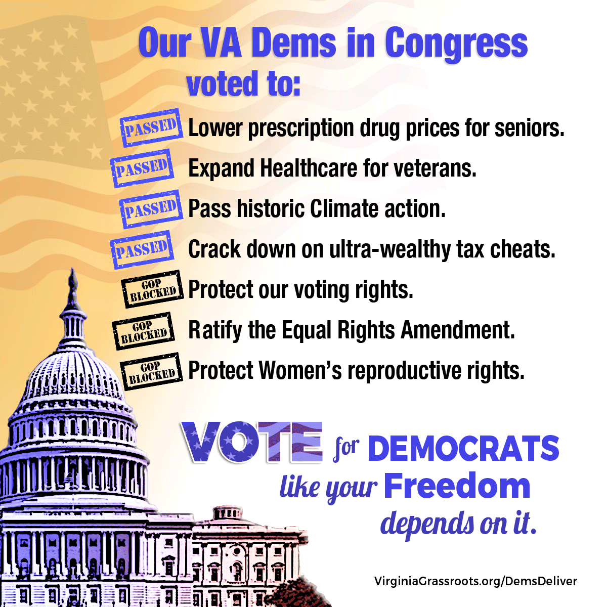 Virginia Democrats ALL voted for healthcare, clean energy, Veteran's benefits, and other legislation that will improve people's lives. 